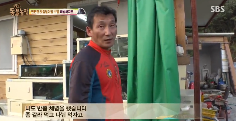 매일 생선털리는 횟집사장님 (Feat.달수) | 인스티즈