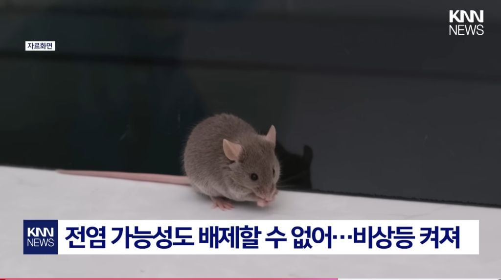 최근 확산중인 "중국발 미스테리 눈병" | 인스티즈