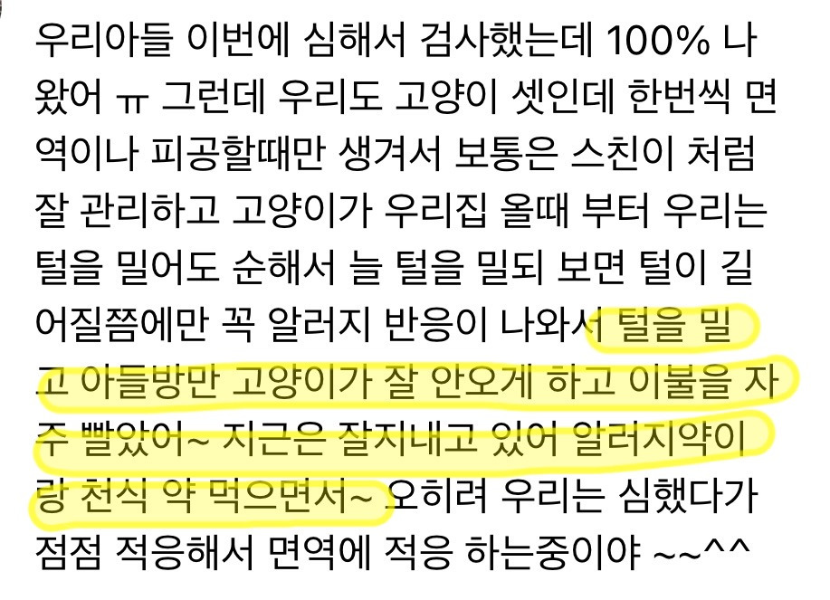 고양이 키우는데 내가 낳은 아이가 고양이 알러지 있을 때 | 인스티즈