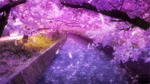 바로 오늘 같은밤, 바로 나 같은 누군가가 읽을지도 모를 이런 시를 위해 | 인스티즈