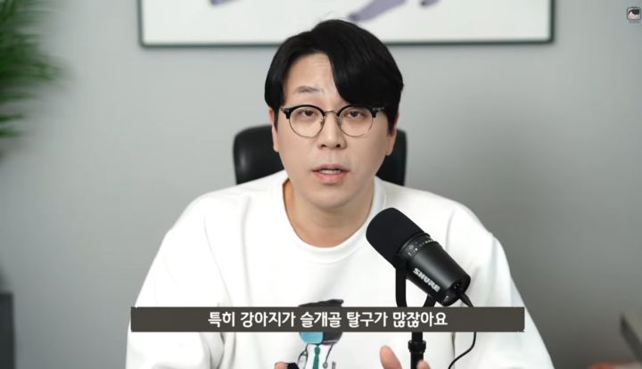 수의사가 뜯어말리는 sns 광고 반려동물 용품 | 인스티즈