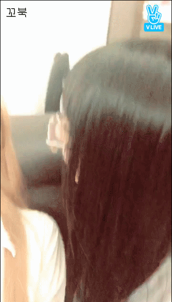 여자친구 신비 생일 v앱(난입하는 은하).gif | 인스티즈
