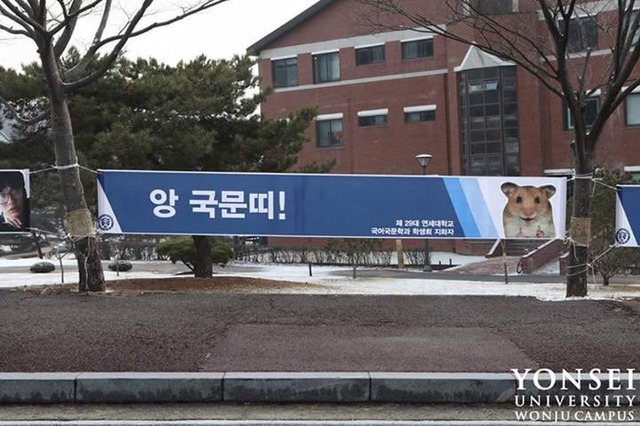 연대의 신입생 맞이 방법 | 인스티즈