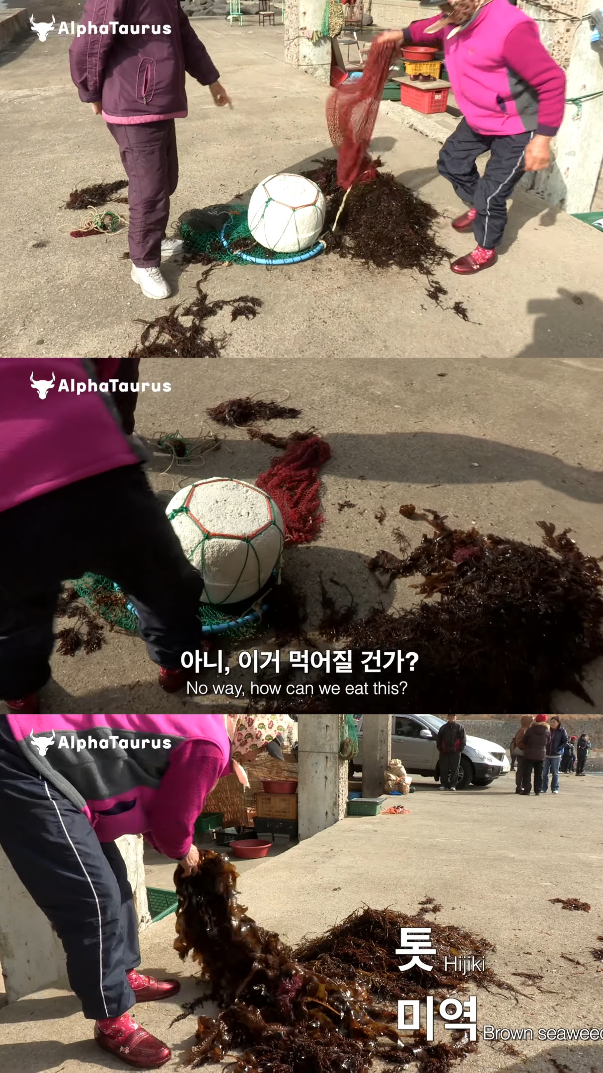 어제 들어가서 오늘까지 안 나온 제주 해녀를 찾기 위해 바다로 들어가는 해녀들.jpg | 인스티즈