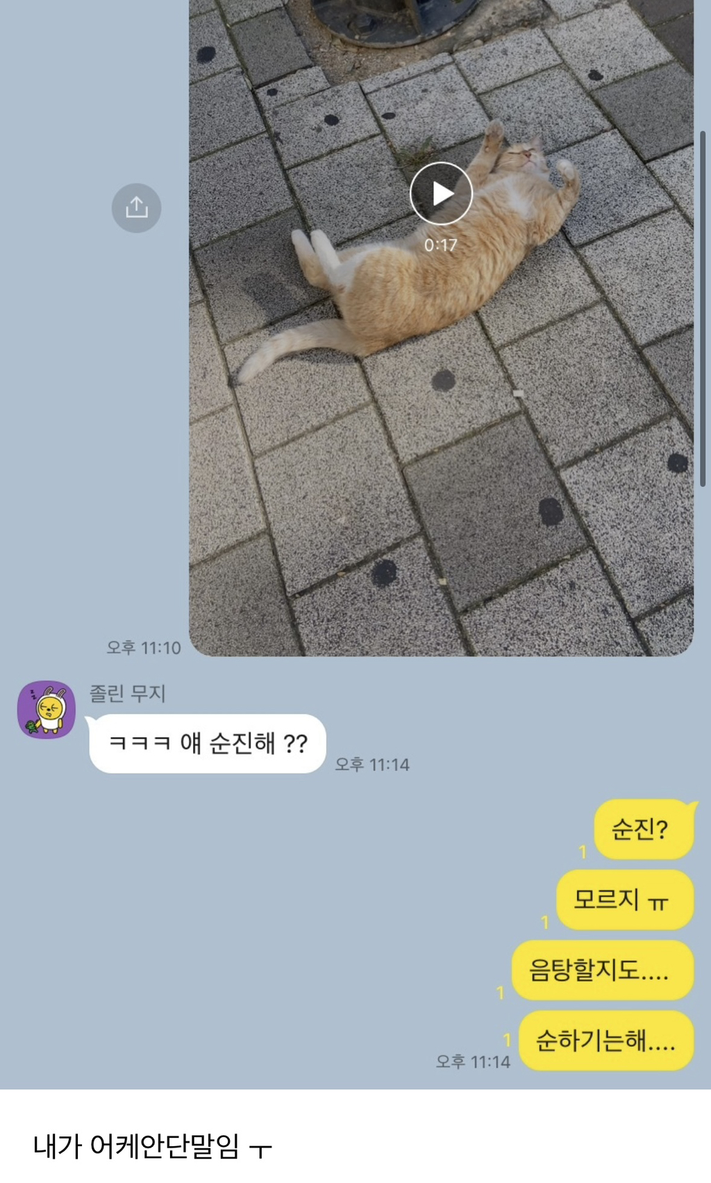 X댐! 이런 것까지 캡쳐하지 말라고! | 인스티즈
