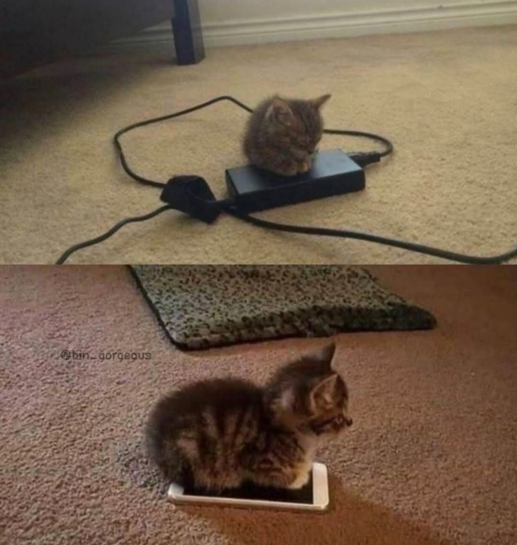 따뜻한 조랭이 떡.jpg | 인스티즈