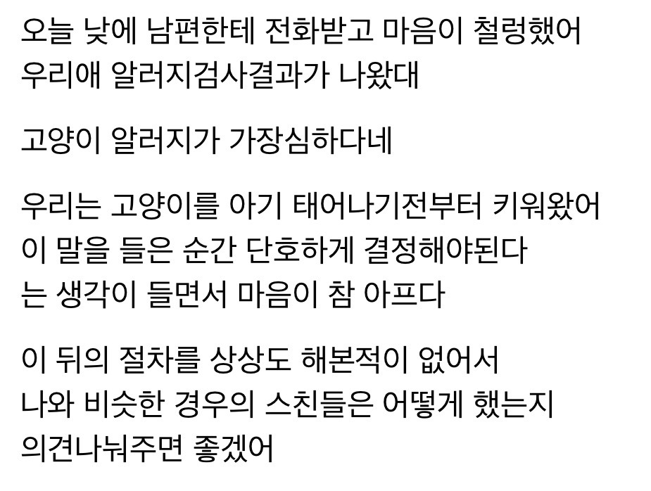 고양이 키우는데 내가 낳은 아이가 고양이 알러지 있을 때 | 인스티즈