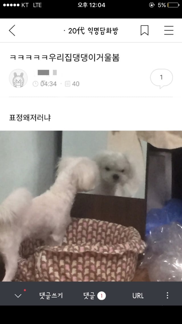 홍준표 눈썹문신 망했던 이유.jpg | 인스티즈