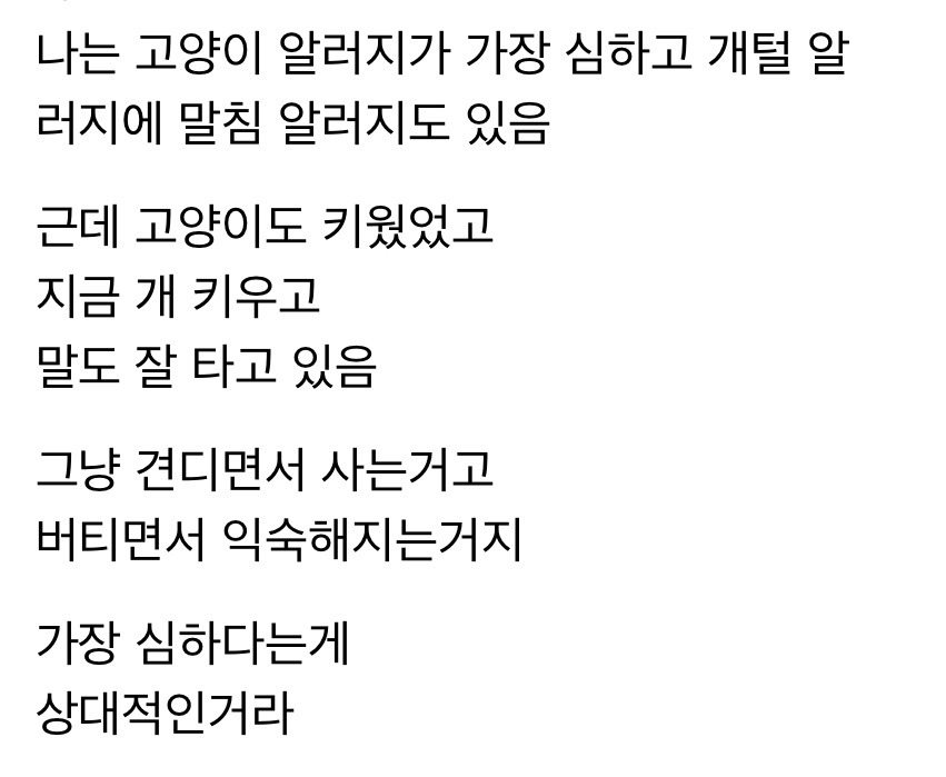 고양이 키우는데 내가 낳은 아이가 고양이 알러지 있을 때 | 인스티즈