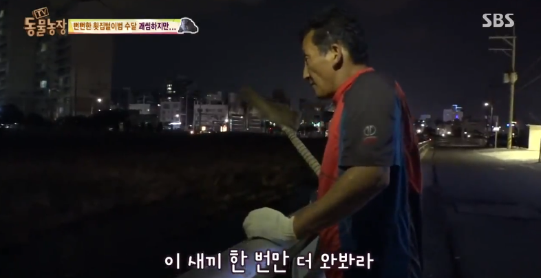 매일 생선털리는 횟집사장님 (Feat.달수) | 인스티즈