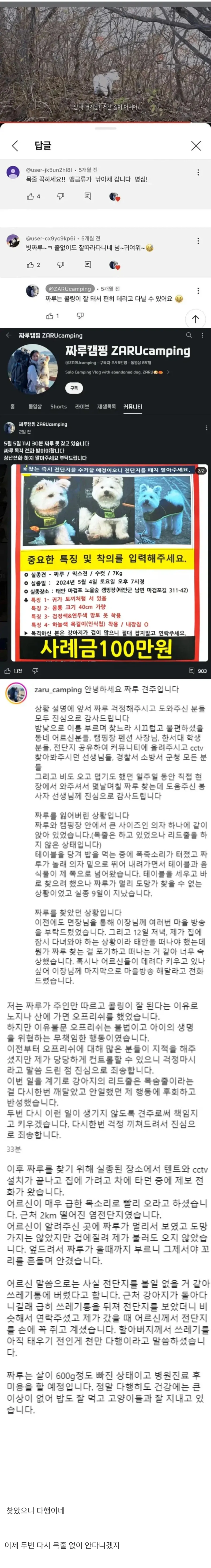 목줄 없이 개와 캠핑하던 유튜버 jpg | 인스티즈