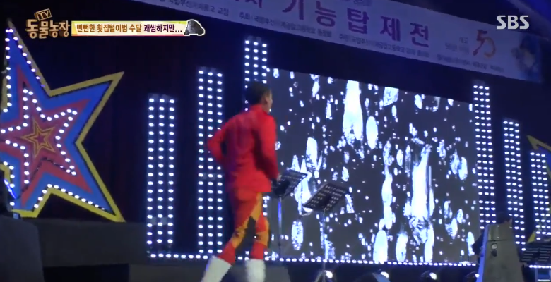 매일 생선털리는 횟집사장님 (Feat.달수) | 인스티즈