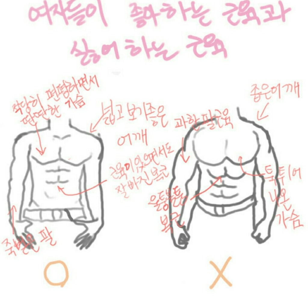 여자들아 좋아하는 근육과 싫어하는 근육.jpg | 인스티즈