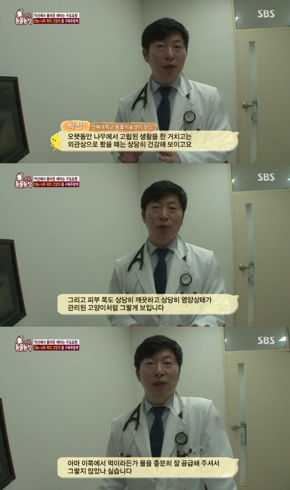 [동물농장] 10m 나무 위에 사는 고양이와 할머니들.jpg | 인스티즈