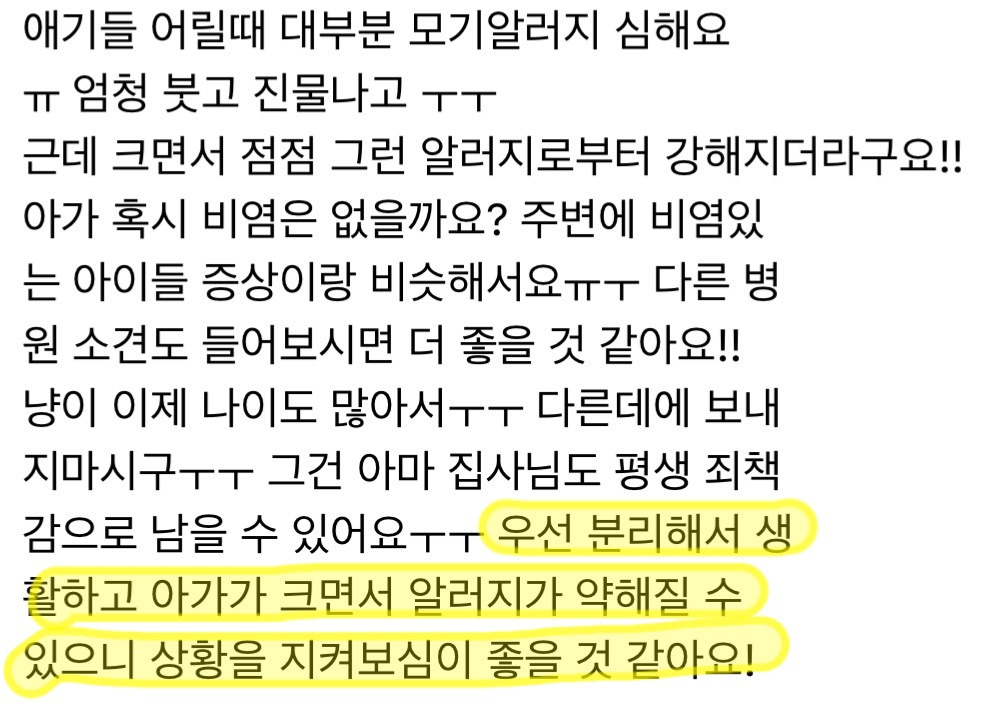 고양이 키우는데 내가 낳은 아이가 고양이 알러지 있을 때 | 인스티즈