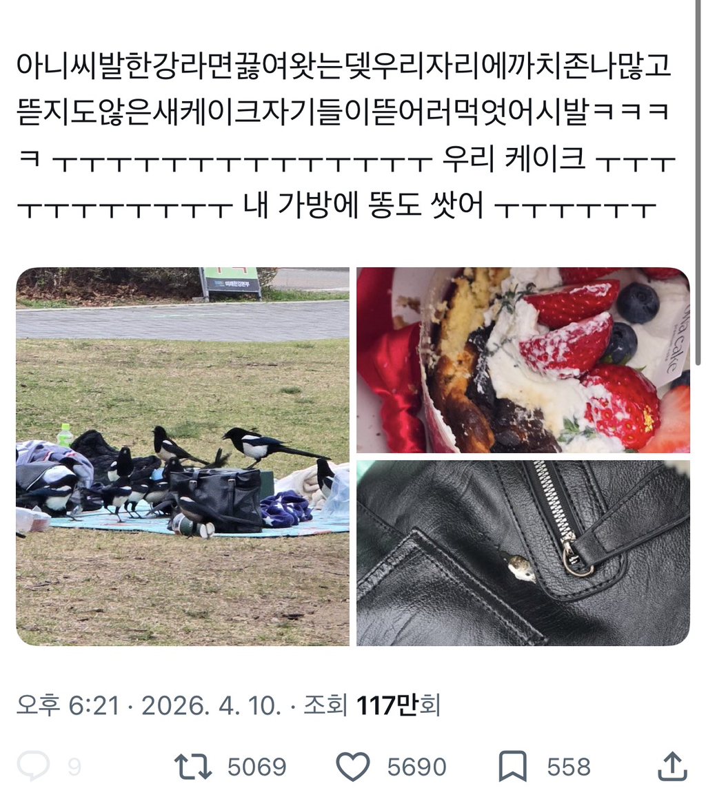 한강 피크닉 가서 절대 자리 비우면 안 되는 이유 | 인스티즈