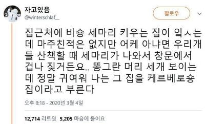홍준표 눈썹문신 망했던 이유.jpg | 인스티즈