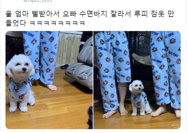 홍준표 눈썹문신 망했던 이유.jpg | 인스티즈
