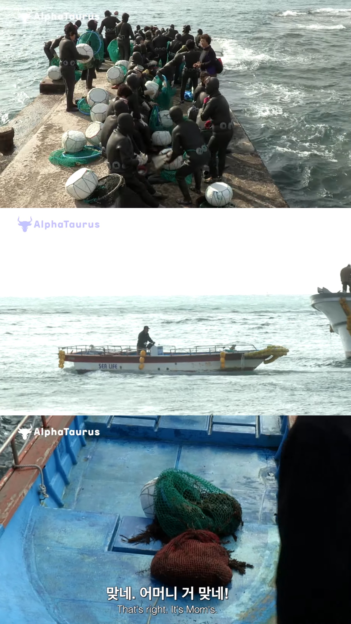 어제 들어가서 오늘까지 안 나온 제주 해녀를 찾기 위해 바다로 들어가는 해녀들.jpg | 인스티즈