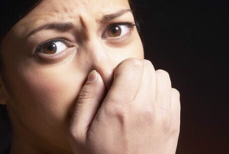 담배랑 안맞는거 같은데 못끊는 사람들 특징.jpg | 인스티즈