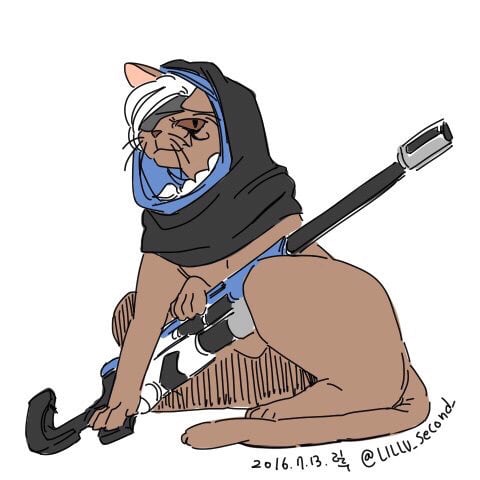 오버워치의 영웅들이 고양이가 된다면.jpg | 인스티즈