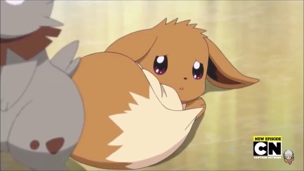 [포켓몬스터] 정말 충격적으로 예쁘고 귀여운 이브이 | 인스티즈