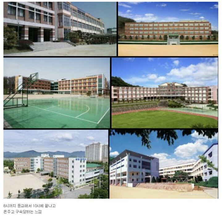 고등학교 행복했다 vs 싫었다 | 인스티즈