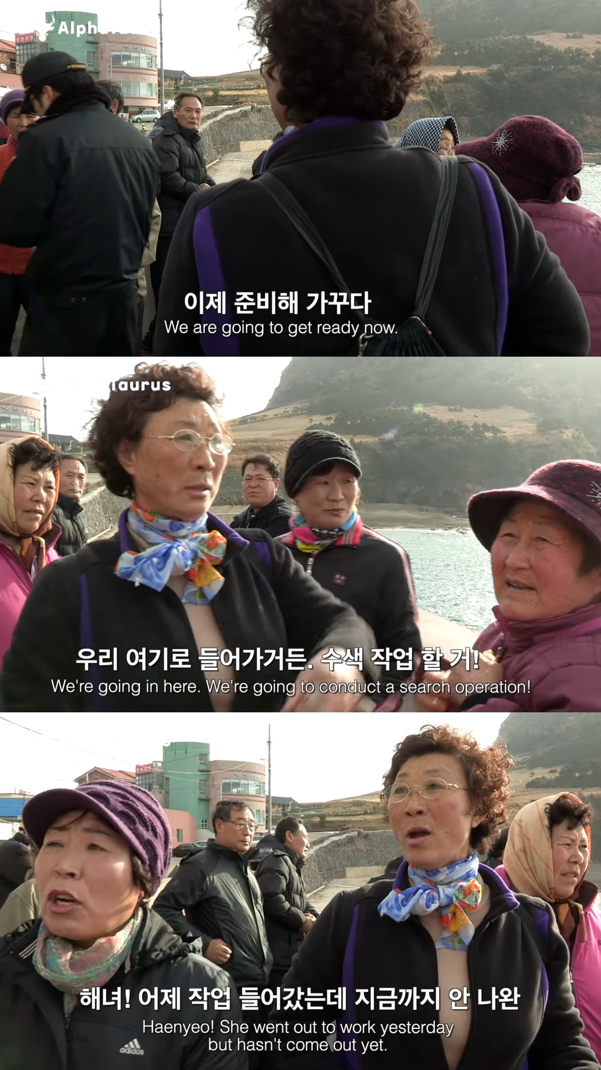 어제 들어가서 오늘까지 안 나온 제주 해녀를 찾기 위해 바다로 들어가는 해녀들.jpg | 인스티즈