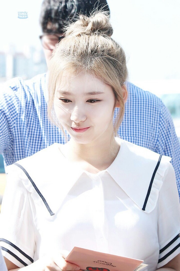 강아지상 사나.jpg | 인스티즈