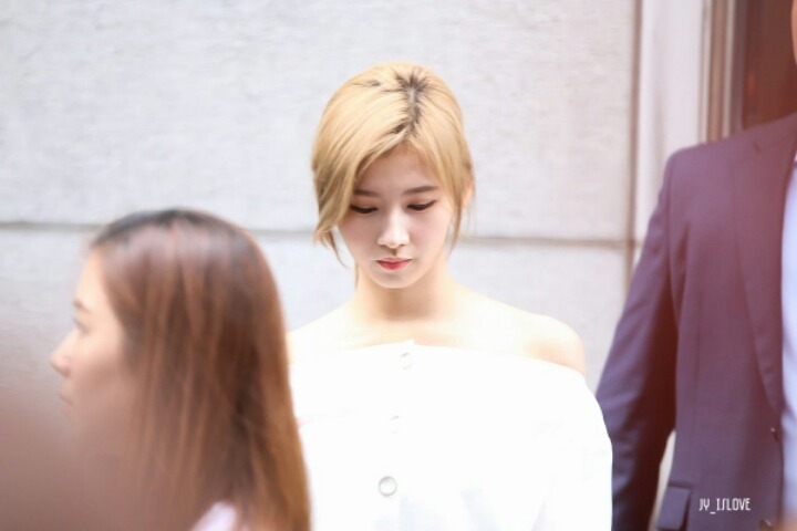 강아지상 사나.jpg | 인스티즈