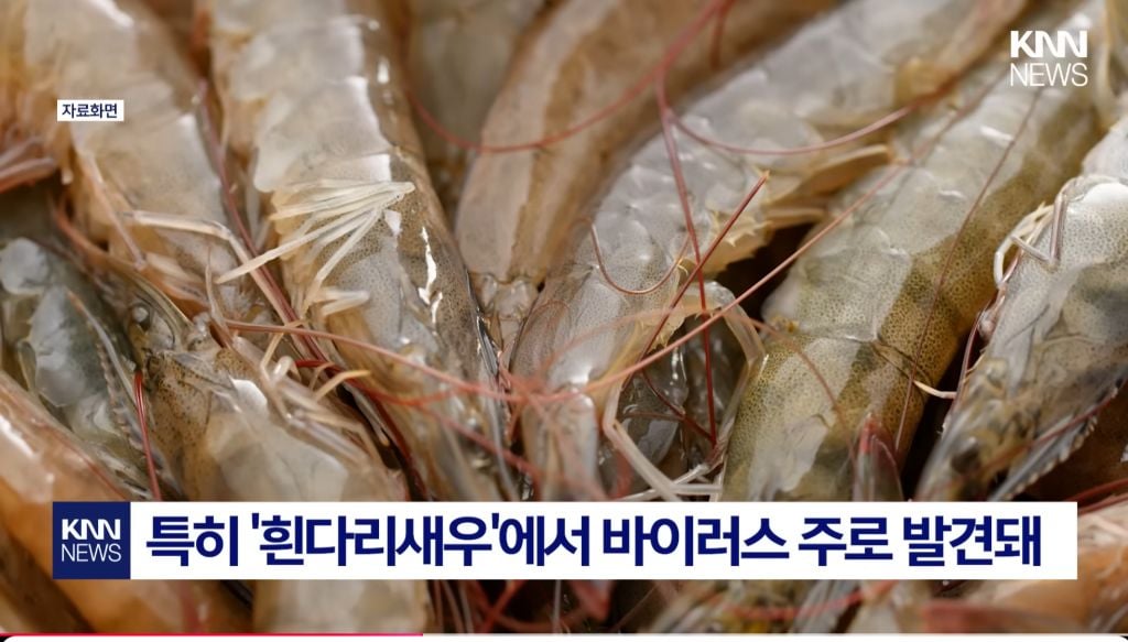 최근 확산중인 "중국발 미스테리 눈병" | 인스티즈