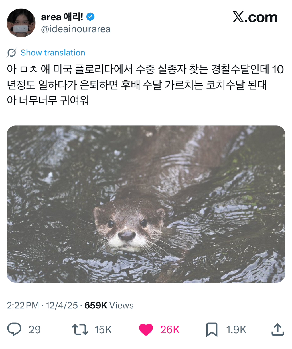 플로리다에서 수달이 왜 이리 무리해 | 인스티즈