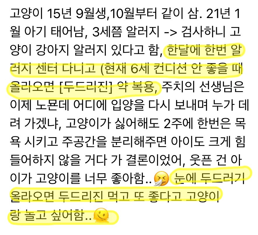 고양이 키우는데 내가 낳은 아이가 고양이 알러지 있을 때 | 인스티즈