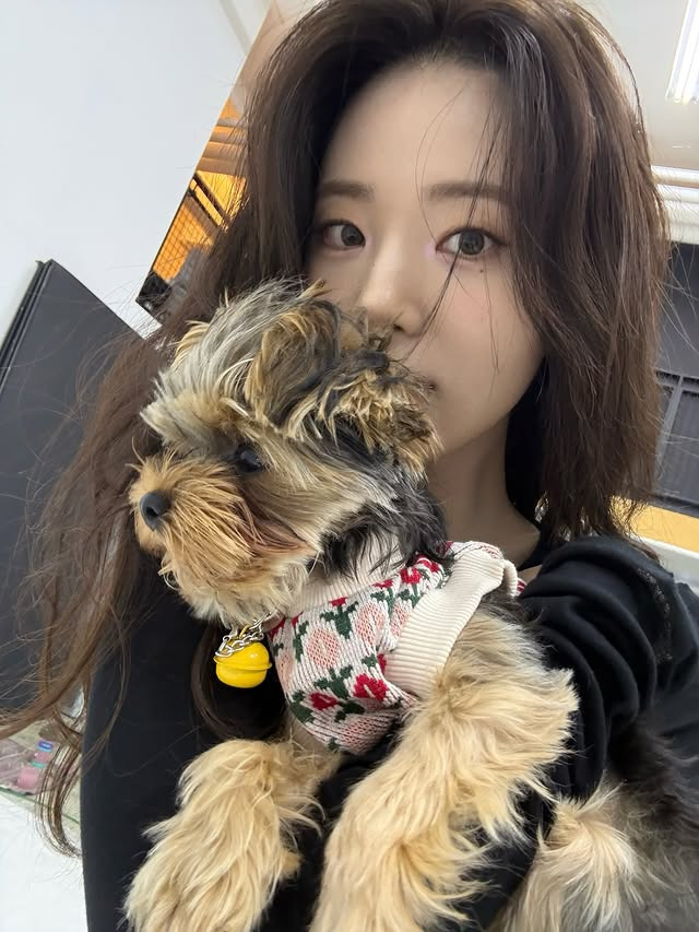 수수하게 이쁜 신시아 | 인스티즈