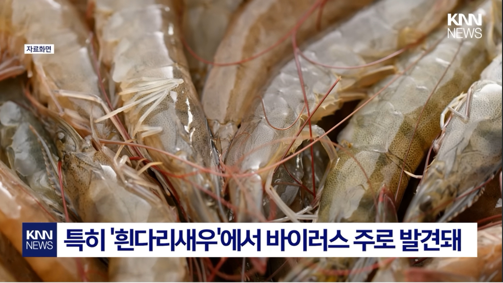 염증 생기더니..."앞이 안 보여요?" 중국발 미스테리 눈병 확산 패닉' | 인스티즈