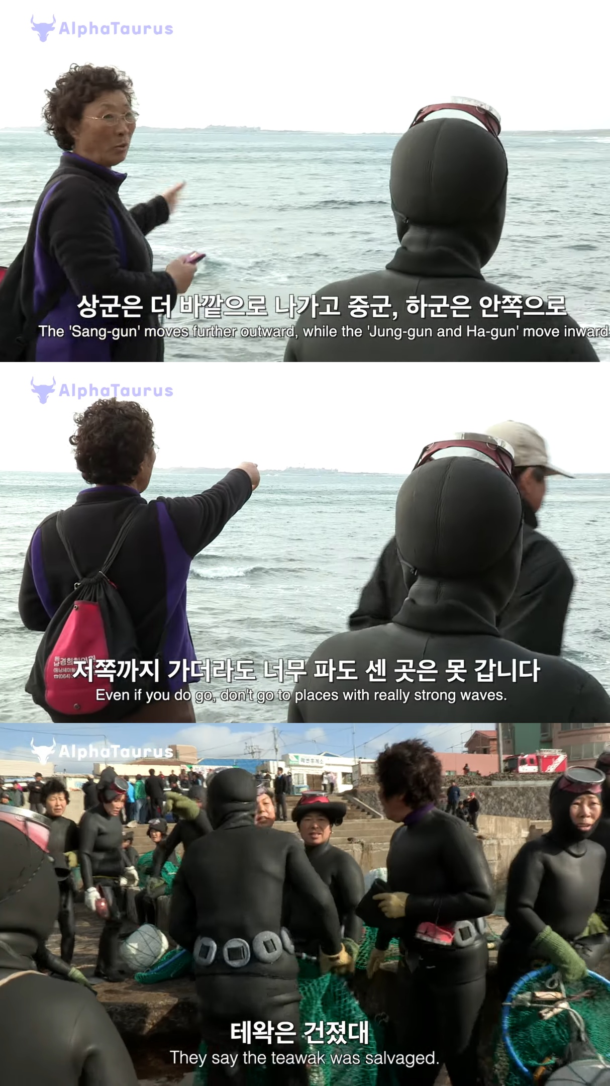 어제 들어가서 오늘까지 안 나온 제주 해녀를 찾기 위해 바다로 들어가는 해녀들.jpg | 인스티즈