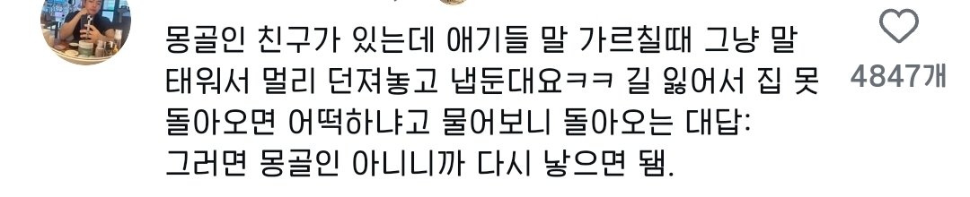 돈 내고 말타기 체험 할 수 있나요 ⋯? | 인스티즈