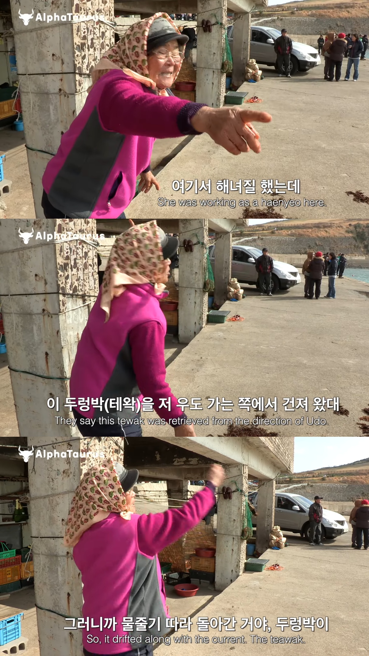 어제 들어가서 오늘까지 안 나온 제주 해녀를 찾기 위해 바다로 들어가는 해녀들.jpg | 인스티즈