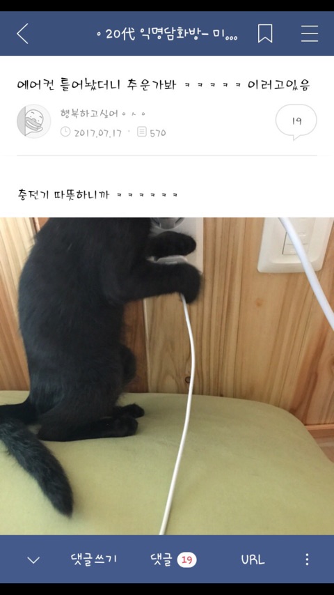 홍준표 눈썹문신 망했던 이유.jpg | 인스티즈