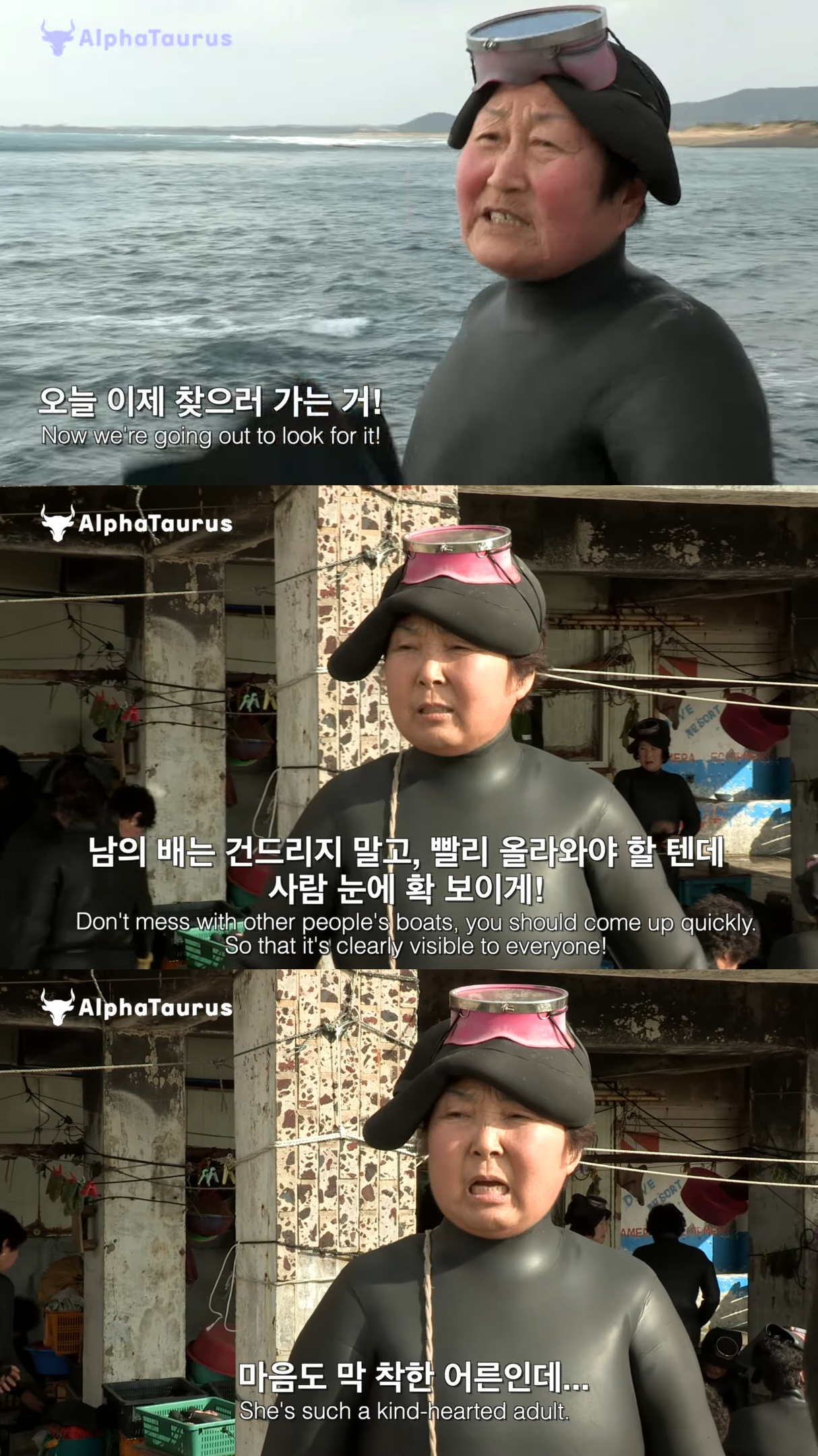 어제 들어가서 오늘까지 안 나온 제주 해녀를 찾기 위해 바다로 들어가는 해녀들.jpg | 인스티즈