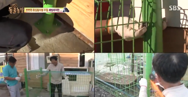 매일 생선털리는 횟집사장님 (Feat.달수) | 인스티즈