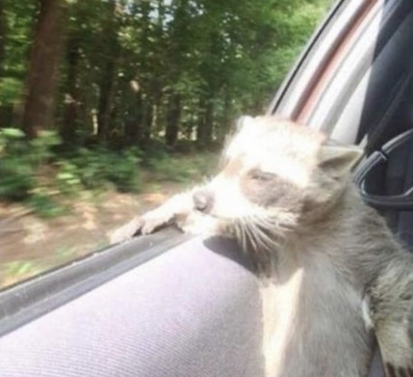 최근 핫플레이스가 된 청주 | 인스티즈