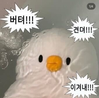 중이염+디지털이명 후기(귀 건강 제발 챙기자) | 인스티즈