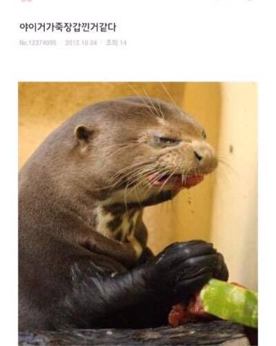 남자분들여자가슴만지는이유 | 인스티즈