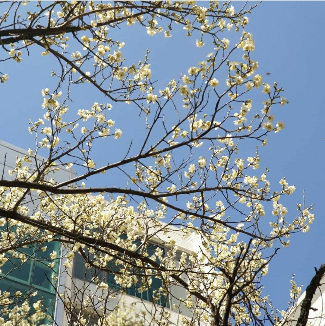 서울대학교 입학식 | 인스티즈