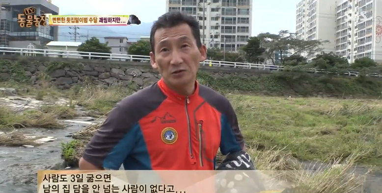 매일 생선털리는 횟집사장님 (Feat.달수) | 인스티즈