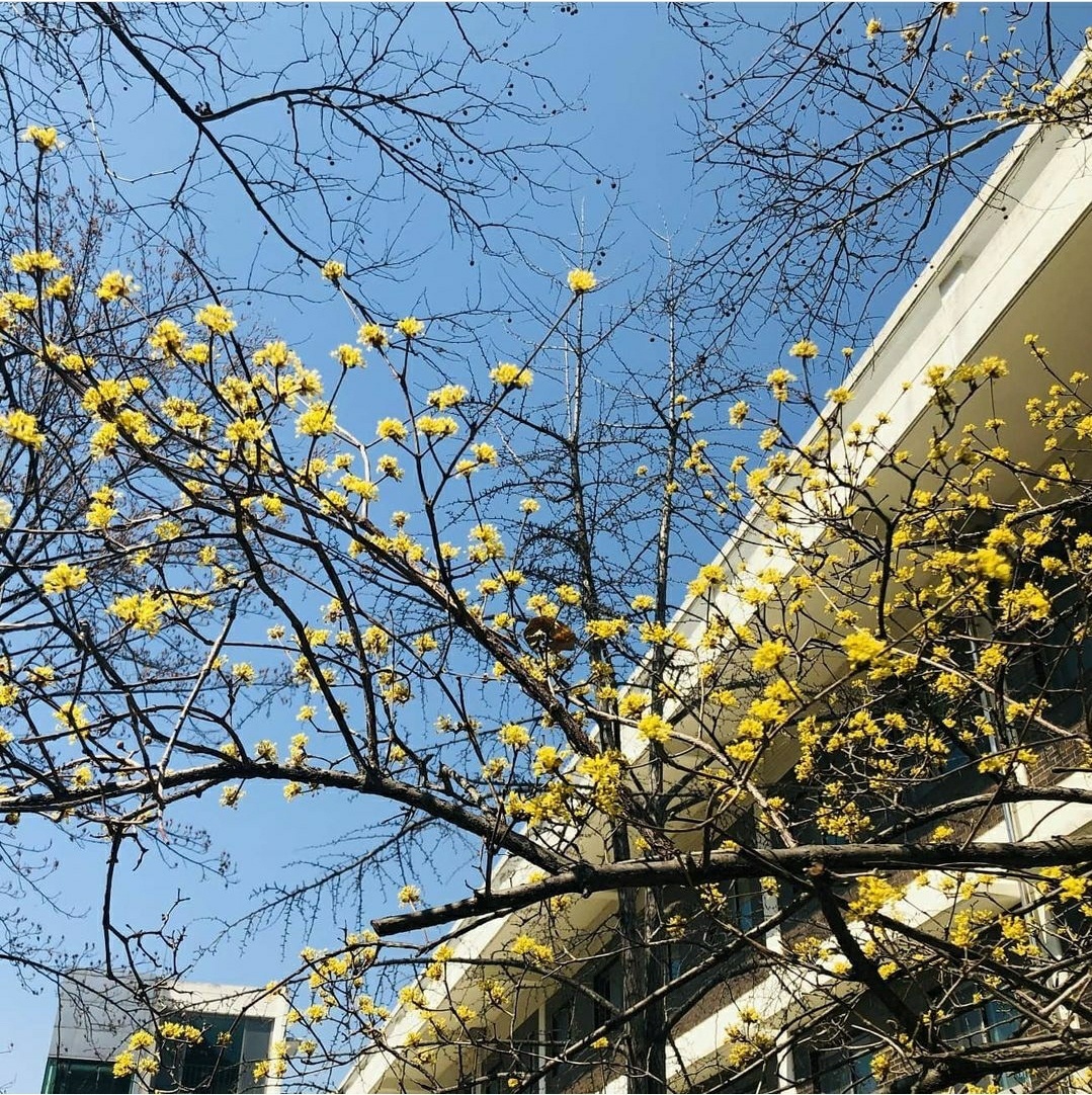서울대학교 입학식 | 인스티즈