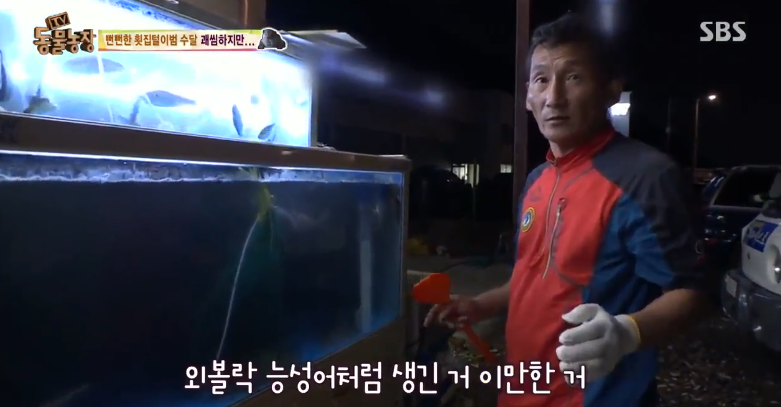 매일 생선털리는 횟집사장님 (Feat.달수) | 인스티즈