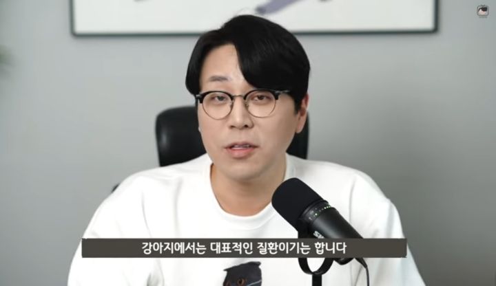 수의사가 뜯어말리는 sns 광고 반려동물 용품 | 인스티즈