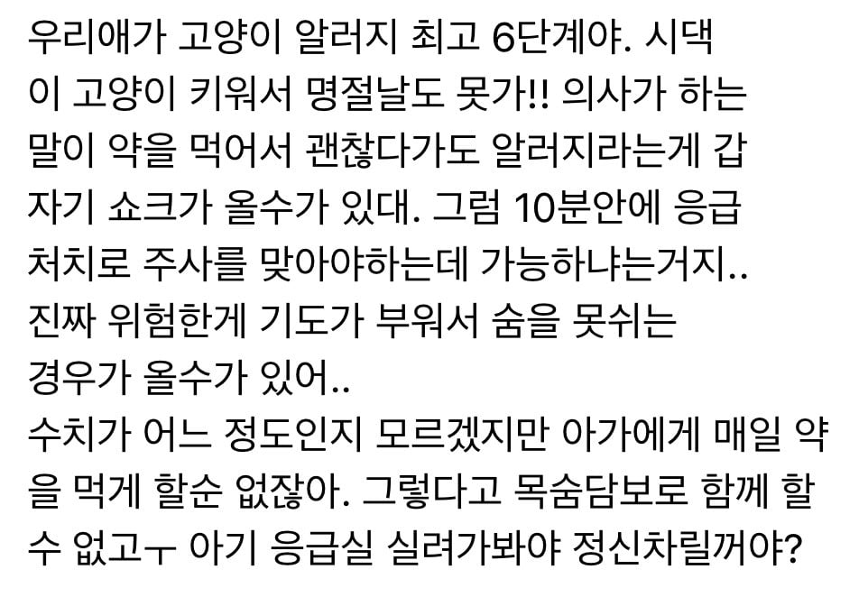 고양이 키우는데 내가 낳은 아이가 고양이 알러지 있을 때 | 인스티즈
